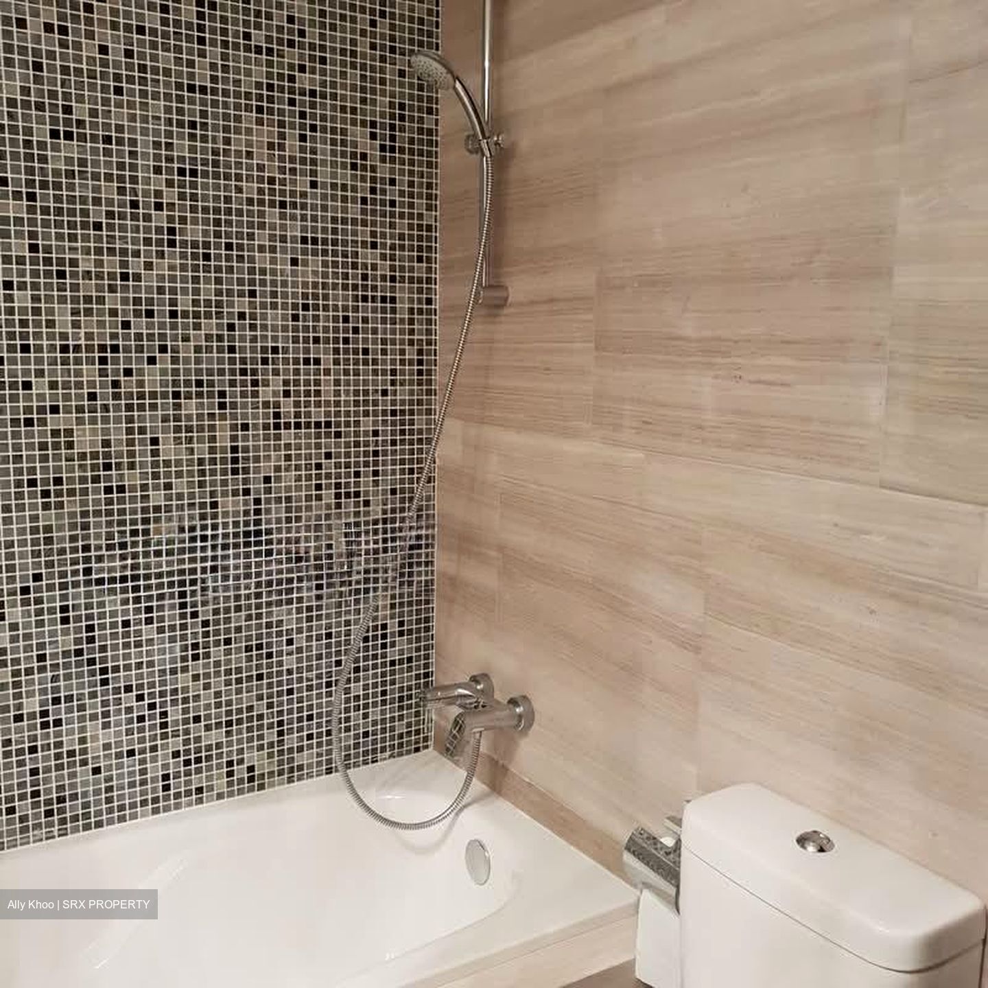 Thomson Grand (D20), Condominium #619555151